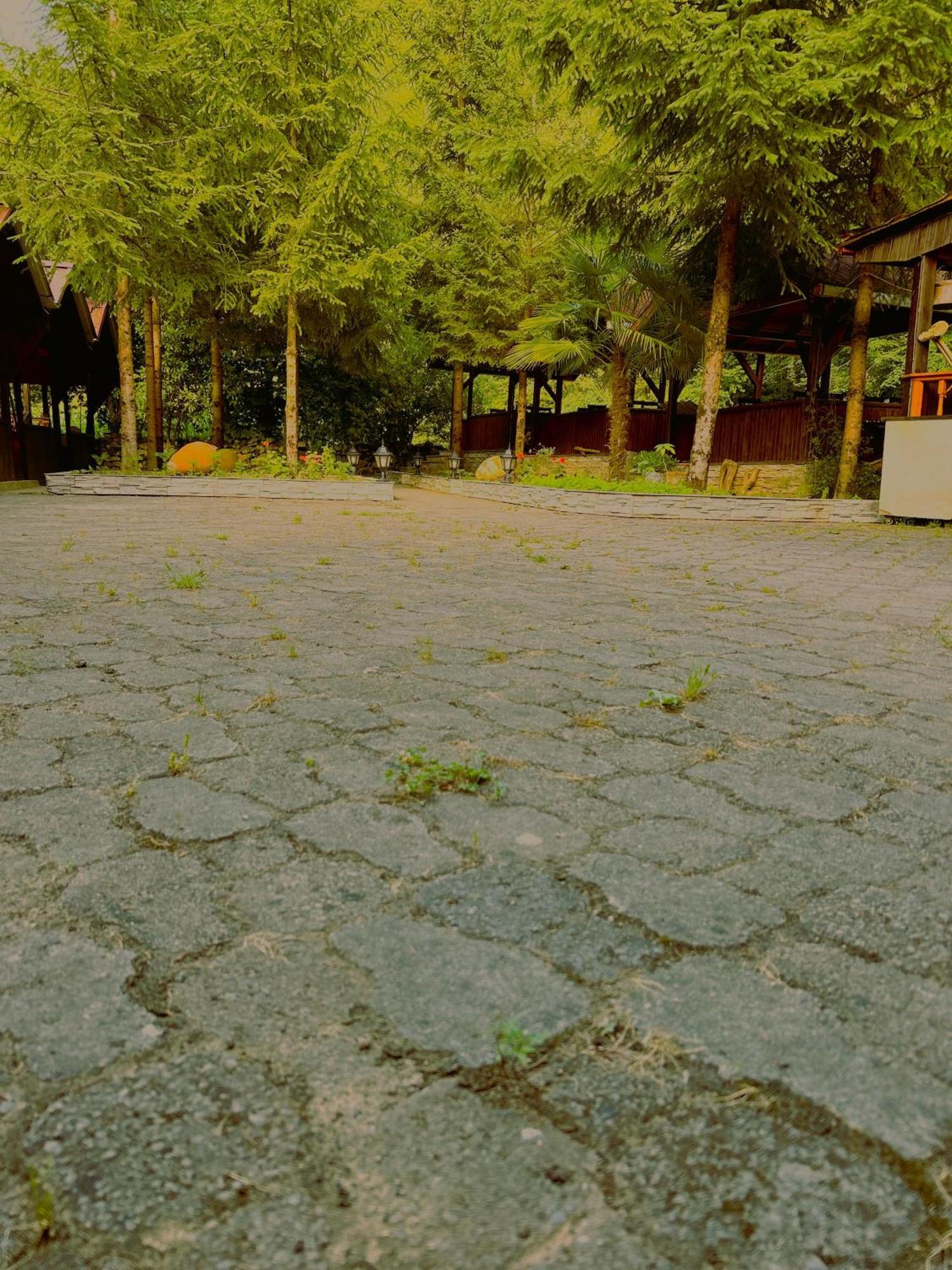 Isikli Kale Hotel Caykara Kültér fotó
